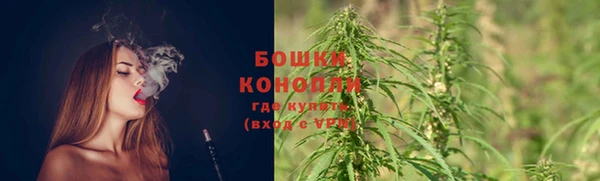 не бодяженный Ладушкин