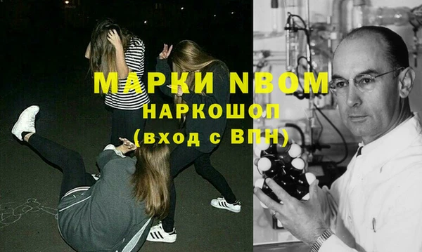 индика Балахна