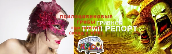 spice Лабытнанги