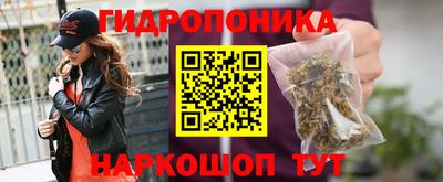 СК Партизанск