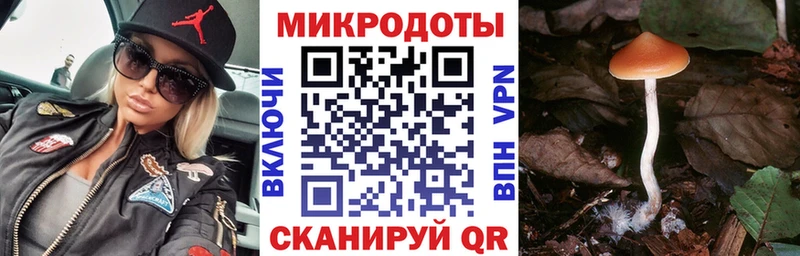 mega зеркало  darknet Telegram  Галлюциногенные грибы мицелий  Тында 