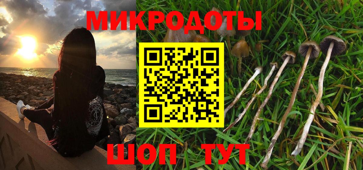 Галлюциногенные грибы мухоморы Тында