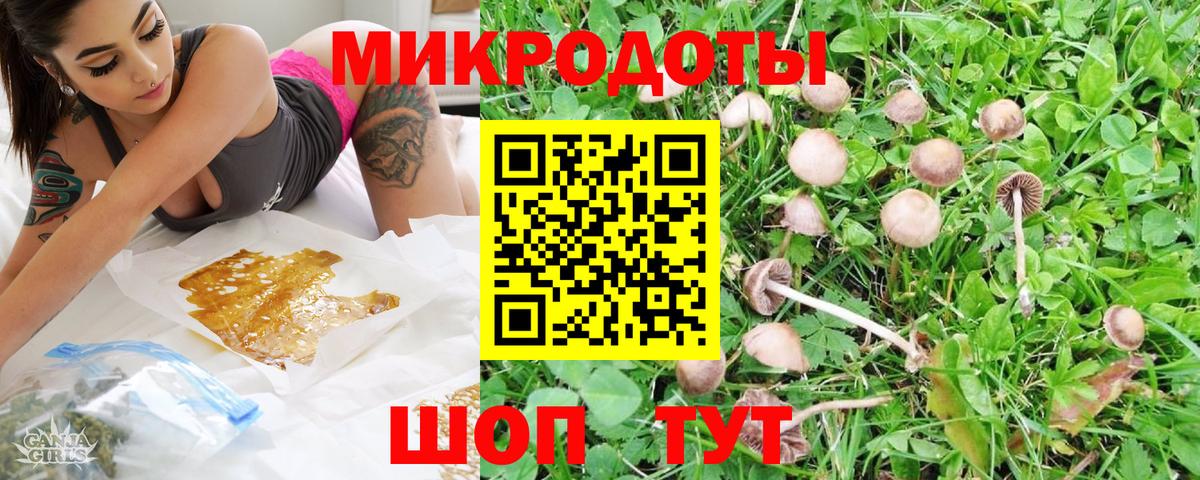 Галлюциногенные грибы прущие грибы  Тында 