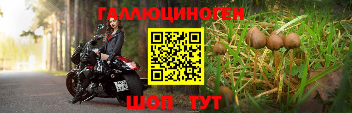 Псилоцибиновые грибы мухоморы  Вход с VPN  Тында 