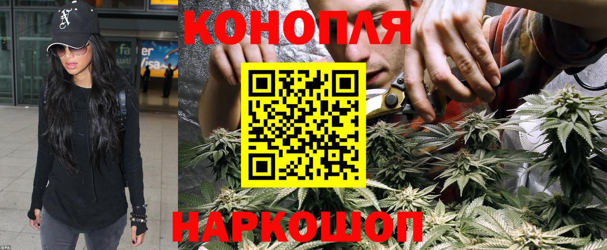 Бошки Шишки семена Тында